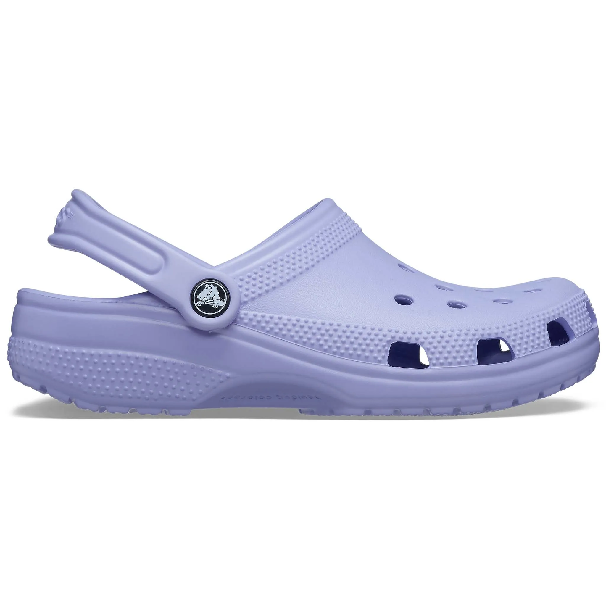 Adult Classic Clog in Mystic Purple